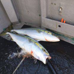 ＴＡＲＯＭＡＲＵ 釣果