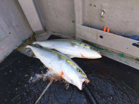 ＴＡＲＯＭＡＲＵ 釣果