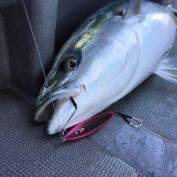 ＴＡＲＯＭＡＲＵ 釣果