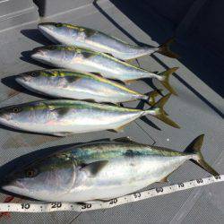 ＴＡＲＯＭＡＲＵ 釣果