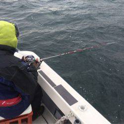 Ｖ−７ West 釣果