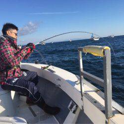 Ｖ−７ West 釣果