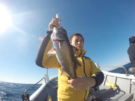 ＴＡＲＯＭＡＲＵ 釣果