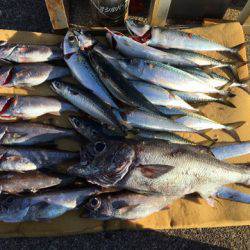 ＴＡＲＯＭＡＲＵ 釣果