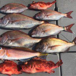 釣鯛洋 釣果