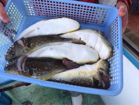 ヤザワ渡船 釣果