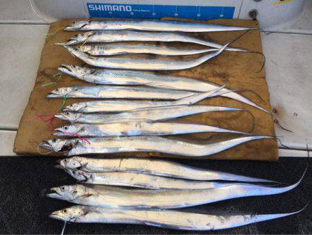 末広丸(熊本) 釣果