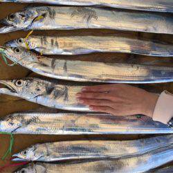 末広丸(熊本) 釣果