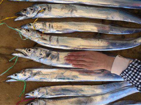 末広丸(熊本) 釣果