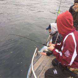 第二 海洋丸 釣果