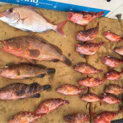 末広丸(熊本) 釣果