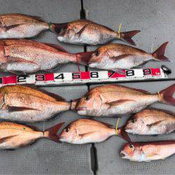 釣鯛洋 釣果