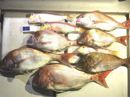 龍神丸(鹿児島) 釣果