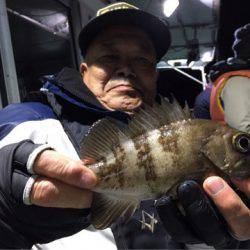 ヤザワ渡船 釣果
