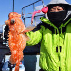 渡船屋たにぐち 釣果