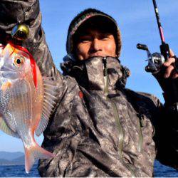 渡船屋たにぐち 釣果