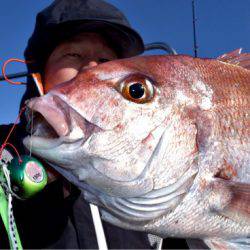 渡船屋たにぐち 釣果