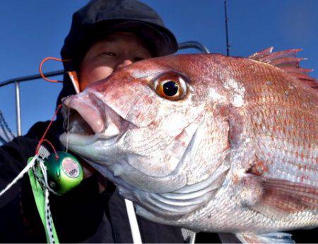 渡船屋たにぐち 釣果