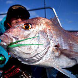 渡船屋たにぐち 釣果