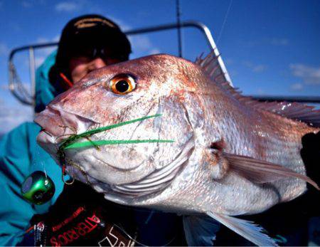 渡船屋たにぐち 釣果