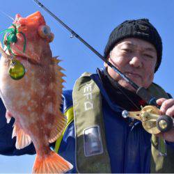 渡船屋たにぐち 釣果