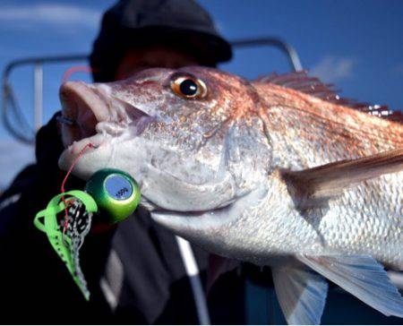 渡船屋たにぐち 釣果