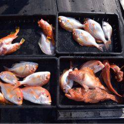 渡船屋たにぐち 釣果