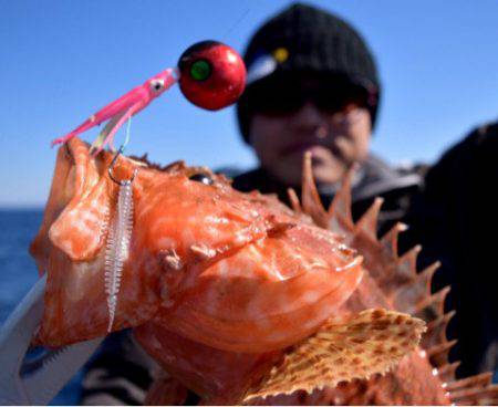 渡船屋たにぐち 釣果