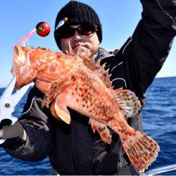渡船屋たにぐち 釣果