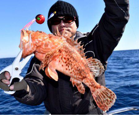 渡船屋たにぐち 釣果