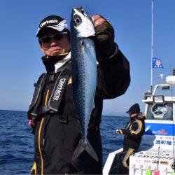 渡船屋たにぐち 釣果