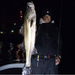 SeaRide(シーライド) 釣果