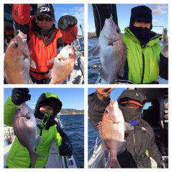 ビッグファイター 釣果