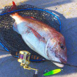 第二 海洋丸 釣果