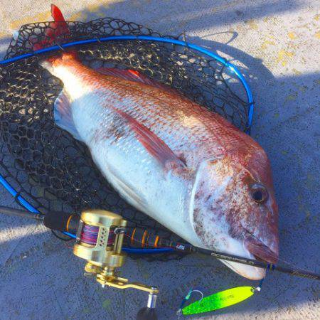 第二 海洋丸 釣果