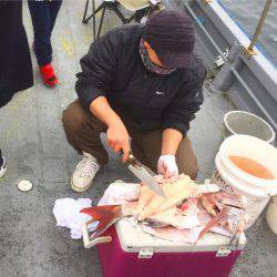 第二 海洋丸 釣果