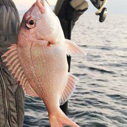 龍神丸(鹿児島) 釣果