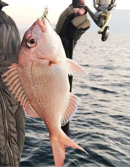 龍神丸(鹿児島) 釣果