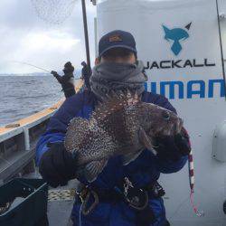 シーランチ 釣果