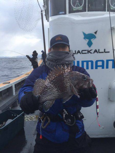 シーランチ 釣果