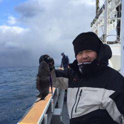 シーランチ 釣果