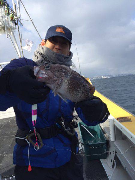 シーランチ 釣果