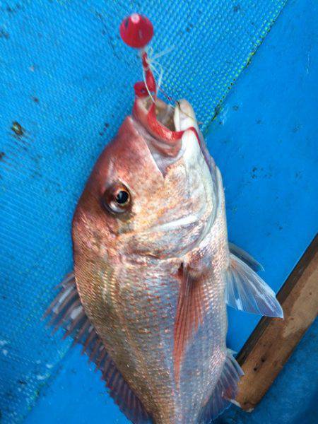 太平丸 釣果