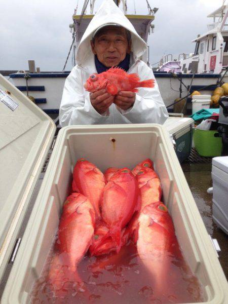 晃山丸 釣果