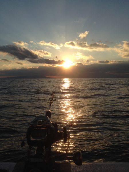 晃山丸 釣果