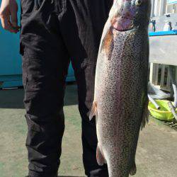 としまえんフィッシングエリア 釣果