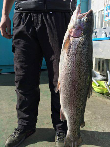 としまえんフィッシングエリア 釣果