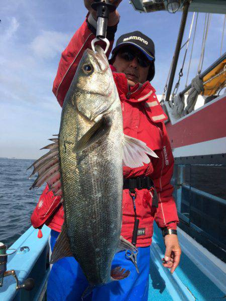 みやけ丸 釣果