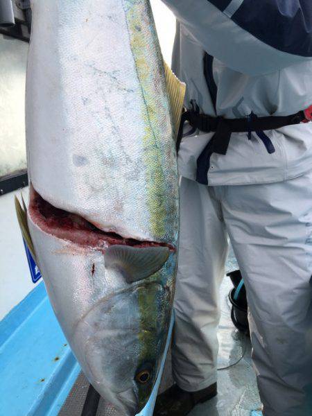 みやけ丸 釣果