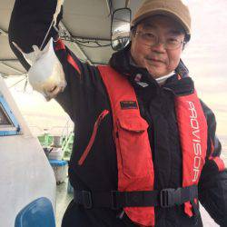 ヤザワ渡船 釣果